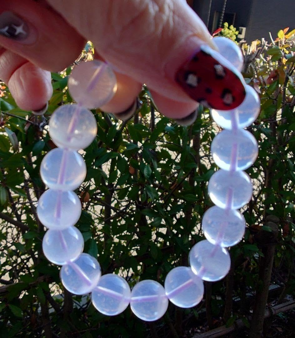 Yahoo!オークション - 438【上澳園芸】 アガベ チタノタ shangao-015雲